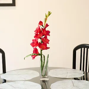  Apartamento Aligrama